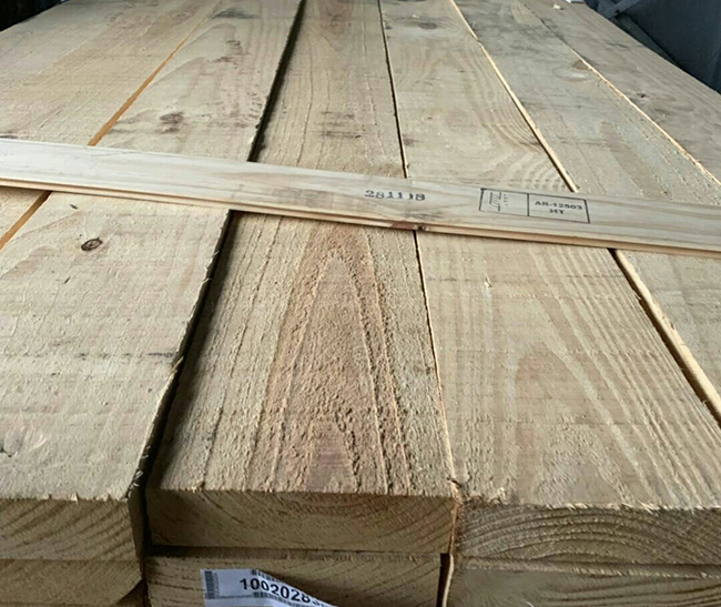 博尔塔拉阿根廷松木